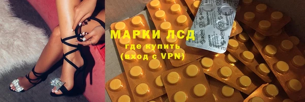 ECSTASY Гусев