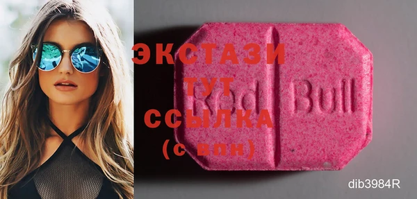 ECSTASY Гусев