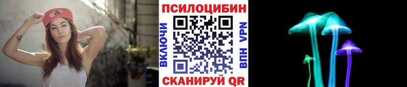 Псилоцибиновые грибы ЛСД  даркнет сайт  Лесозаводск 
